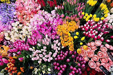 《游戏王：早期合集》宣布2025年2月27日发售 已收录8款游戏